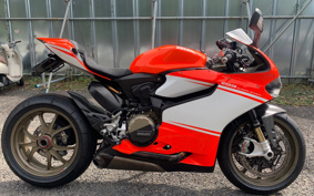 DUCATI 1199 SUPER REJJE-RA 2014