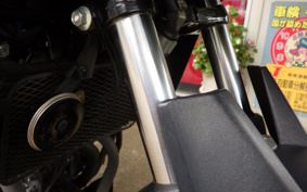 SUZUKI STROM 250 DS11A