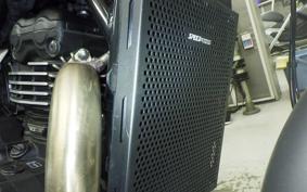 TRIUMPH SPEED 400 2024