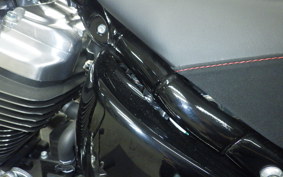 HARLEY FXBB1920 2025