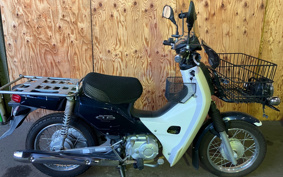 HONDA SUPER CUB110 JA10