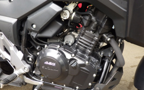 SUZUKI STROM 250 DS11A