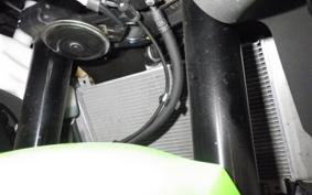 KAWASAKI ZX-4RR 2023 ZX400P