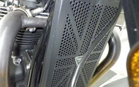 TRIUMPH SPEED TWIN 2024