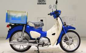 HONDA C110 SUPER CUB 2000 JA59