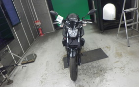 YAMAHA MT-25 2014 RG43J