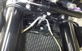 BMW M1000R 2023