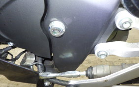 YAMAHA YZF-R15 1998 RG86J