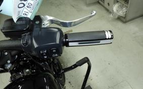 HARLEY FXBB1920 2025