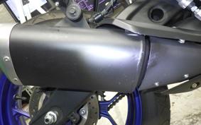 YAMAHA YZF-R25 2022 RG43J