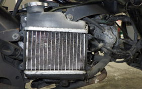 HONDA GIORNO CREA AF54