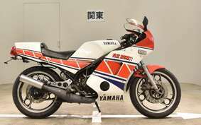 YAMAHA RZ250RR 29L
