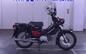 OTHER CROSS CUB 110-2