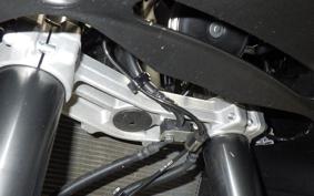 KAWASAKI NINJA 1000SX 2024 ZXT02K