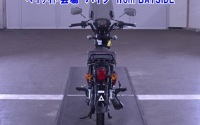 OTHER CROSS CUB 110-2