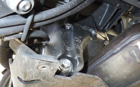 HONDA NX400 2024 NC65