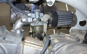 HONDA MONKEY BAJA 2022 Z50J