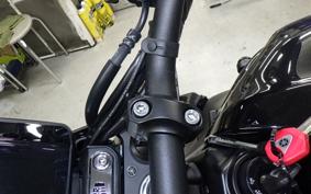YAMAHA XSR900 2024 RN80J