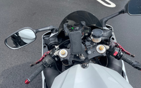 YAMAHA YZF-R1 2010 RN20