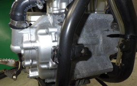 YAMAHA WR250X 2007 DG15J