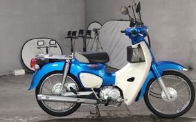HONDA SUPER CUB110 JA44