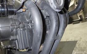 HONDA HORNET 250