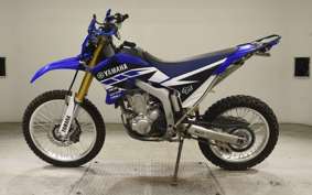 YAMAHA WR250R 1989 DG15J