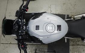 BMW S1000R 2022