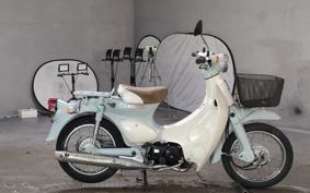HONDA LITTLE CUB AA01
