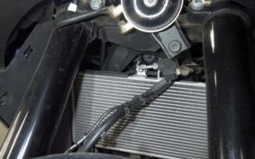 YAMAHA YZF-R25 A 2005 RG74J