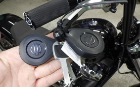 HARLEY FXBRS1870 2019