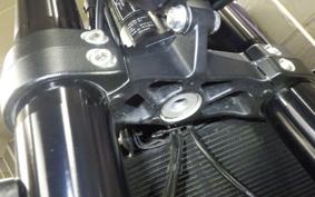 TRIUMPH TRIDENT 660 2021