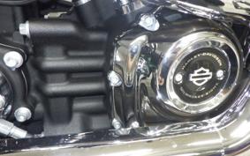 HARLEY FLSB 1750 2020