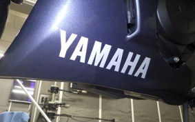 YAMAHA YZF R-3 2024 RH21J