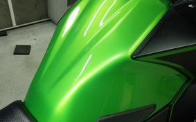 KAWASAKI VERSYS 250 A LE250D