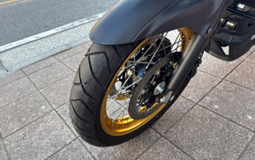SUZUKI DL650 ( V-Strom 650 ) 2025 C733M