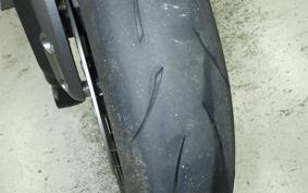 TRIUMPH SPEED TWIN 2024