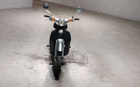 HONDA LITTLE CUB AA01