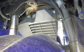 SUZUKI SKYWAVE 250 (Burgman 250) S CJ43A