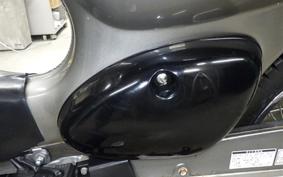 HONDA LITTLE CUB 2009 AA01
