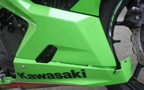KAWASAKI NINJA 400 2023 EX400L