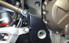 BMW S1000R 2021