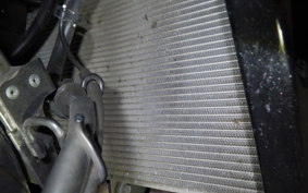KAWASAKI NINJA 1000SX 2024 ZXT02K