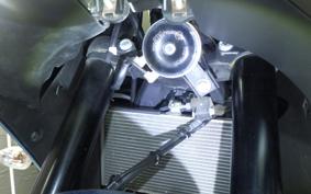 YAMAHA YZF-R25 A RG43J