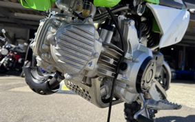 KAWASAKI KLX110L LX110D