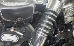 HARLEY FXDL 1580 2010