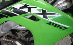 KAWASAKI KX250 2019 KX252E
