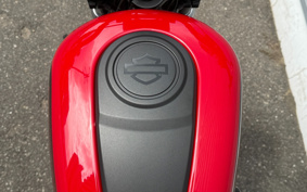 HARLEY RH975 NIGHT STAR 2023 ZH1