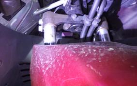 HONDA PCX 125 2019 JF81
