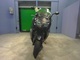 Фото BMW C600 SPORT 2013 с японского аукциона